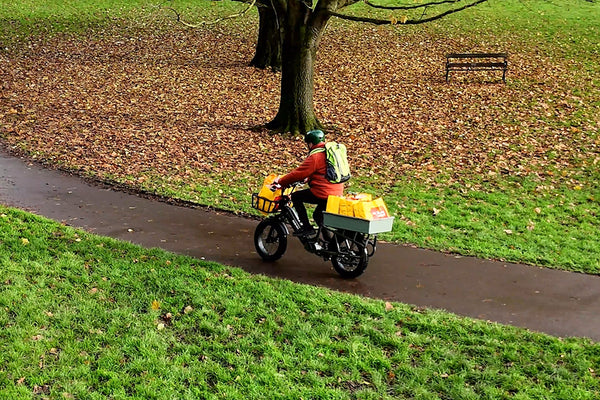 <p>The E-Bike Will Not Let You Down</p>