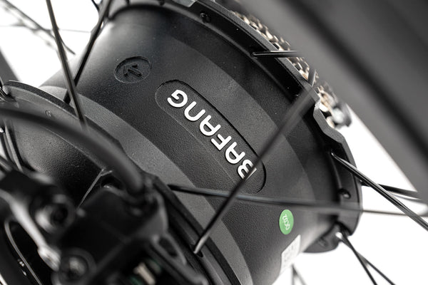 <p>Stable and reliable Bafang motor</p>