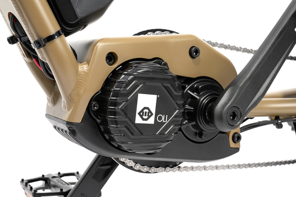 <p>Oli mid drive motor</p>