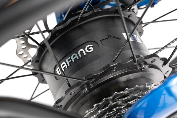 <p>Stable and reliable Bafang motor</p>